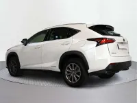 Usado Lexus NX300h Business Edition 197 CV (144 kW) 2017 SUV