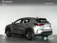 Usado Lexus NX350h Business Edition 244 CV (179 kW) 2023 Gris SUV