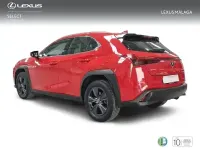 Usado Lexus UX Business Edition 184 CV (135 kW) 2022 Rojo SUV