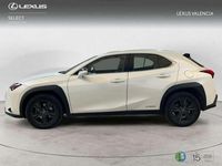 Usado Lexus UX Business Edition 2022 Blanco SUV