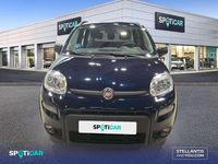 Usado Fiat Panda City Life 71 CV (52 kW) 2022 Azul Utilitario