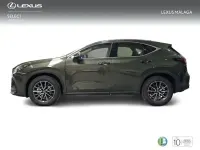 Nuevo Lexus NX350h 242 CV (177 kW) 2026 Verde SUV