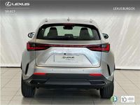 Usado Lexus NX450h+ 310 CV (228 kW) 2025 Gris SUV