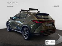 Nuevo Lexus NX350h 242 CV (177 kW) 2025 Verde SUV