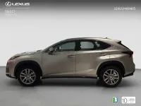 Usado Lexus NX300h Executive Line 197 CV (144 kW) 2017 Gris / plata SUV