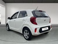Usado Kia Picanto 67 CV (49 kW) 2024 Blanco Utilitario
