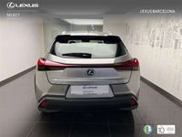 usado Lexus UX 250h Business City 2WD