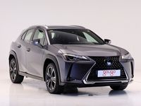 usado Lexus UX 250h EXECUTIVE NAVIGATION AUTO 2.0 184 5P