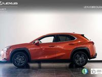 usado Lexus UX 250h PREMIUM