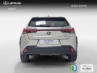 Usado Lexus UX 250h Business Edition 184 CV (135 kW) 2022 Plateado SUV