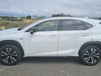 Usado Lexus NX300h Sport Line 197 CV (144 kW) 2020 Blanco SUV
