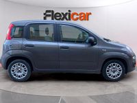 Usado Fiat Panda Cross Cross 70 CV (51 kW) 2022 Gris Utilitario