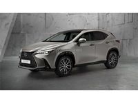 usado Lexus NX350h Business 2wd