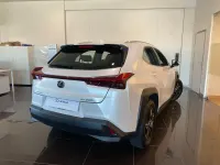 Nuevo Lexus UX 300h 199 CV (146 kW) 2026 Blanco SUV