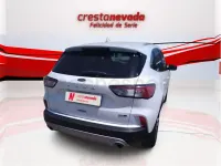 Usado Ford Kuga Titanium 150 CV (110 kW) 2021 Blanco SUV