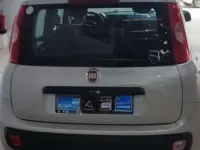 Usado Fiat Panda Lounge 69 CV (50 kW) 2013 Utilitario