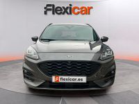 Usado Ford Kuga ST-Line 150 CV (110 kW) 2020 Gris SUV