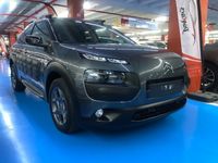 usado Citroën C4 Cactus BlueHDi 100 Rip Curl 73 kW (100 CV)