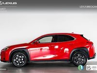 Usado Lexus UX 250h Business Edition 184 CV (135 kW) 2020 Rojo SUV