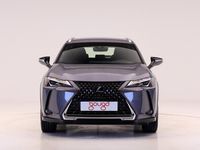 usado Lexus UX 250h BUSINESS NAVIGATION AUTO 2.0 184 5P