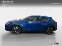 Usado Lexus UX 250h Executive Line 184 CV (135 kW) 2019 Azul SUV