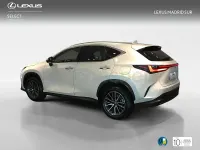 Usado Lexus NX450h+ Executive Line 306 CV (225 kW) 2023 Blanco SUV