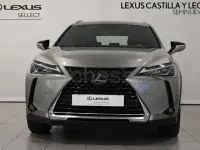 Usado Lexus UX 184 CV (135 kW) 2021 Gris / plata SUV