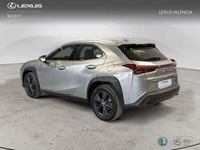 Nuevo Lexus UX 199 CV (146 kW) 2025 Gris / plata SUV