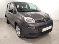 Usado Fiat Panda 69 CV (50 kW) 2024 Gris Utilitario