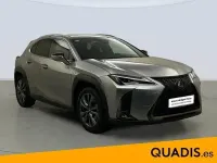 Usado Lexus UX Sport Line 184 CV (135 kW) 2020 SUV
