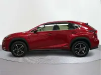 Usado Lexus NX300h Business Edition 197 CV (144 kW) 2017 SUV