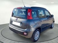 Usado Fiat Panda Lounge 69 CV (50 kW) 2019