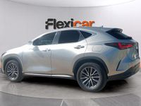 Usado Lexus NX450h+ 309 CV (227 kW) 2022 Gris SUV