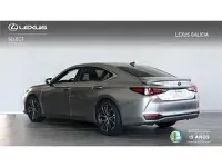 Usado Lexus ES300H 218 CV (160 kW) 2026 Gris Berlina
