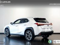 Usado Lexus UX 250h Executive Line 184 CV (135 kW) 2020 Blanco SUV