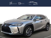 Usado Lexus UX 184 CV (135 kW) 2020 Gris / plata SUV