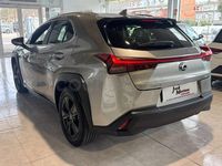 Usado Lexus UX Business Edition 184 CV (135 kW) 2023 Gris / plata SUV