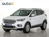 Usado Ford Kuga Trend 120 CV (88 kW) 2019 Blanco SUV