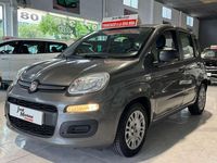 Usado Fiat Panda 71 CV (52 kW) 2022 Varios colores Utilitario