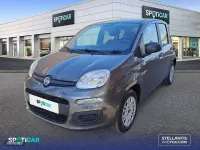 Usado Fiat Panda Easy 69 CV (50 kW) 2018 Gris Utilitario