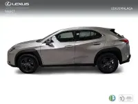 Usado Lexus UX Business Edition 184 CV (135 kW) 2022 Gris SUV