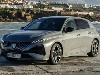 Usado Peugeot 308 SW Active 131 CV (96 kW) 2021 Gris Familiar