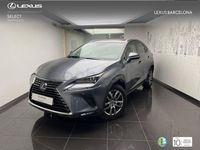Usado Lexus NX300h Executive Line 197 CV (144 kW) 2019 Gris / plata SUV