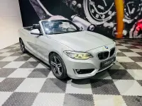 Usado BMW 218 150 CV (110 kW) 2017 Gris / plata Descapotable