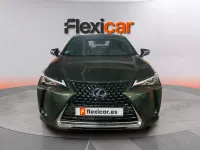 Usado Lexus UX Business Edition 184 CV (135 kW) 2019 Verde SUV