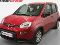 Usado Fiat Panda Classica 2024 Vermelho Citadino