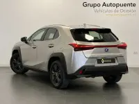 Usado Lexus UX 250h Business Edition 184 CV (135 kW) 2022 Gris SUV