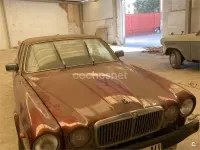 Usado Jaguar XJ12 Sovereign 289 CV (212 kW) 1983 Marrón Berlina