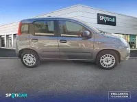 Usado Fiat Panda Easy 69 CV (50 kW) 2018 Gris / plata Utilitario