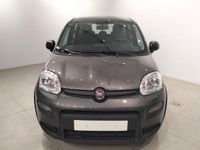 usado Fiat Panda PANDAHybrid 1.0 51kw (70CV)